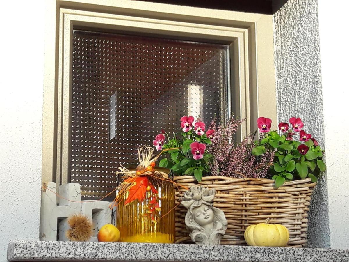Ferienwohnung Am Gaesschen Scheiden Dış mekan fotoğraf